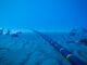 Meta Subsea Cable Investment Increases Indonesia’s Gross Domestic Product Up To IDR 846 Trillion