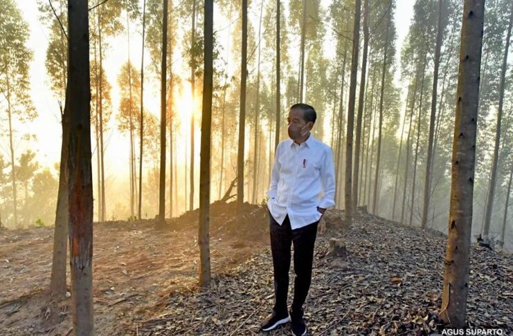 Jokowi at the new capital