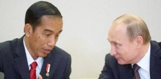 Jokowi Calls Putin, What Is the Discussion?