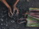 Sorry, Indonesia Apparently Can’t Help India’s Electricity Crisis
