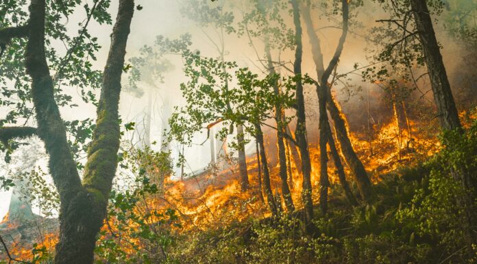 Beware of Fires During the Dry Season