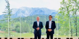 Indonesia-Germany Collaboration: Renewable Energy Optimization!