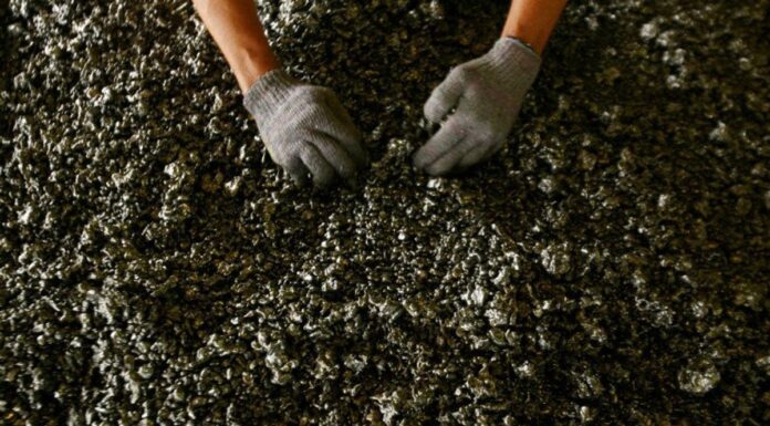 Several Countries Have Conducted Downstream, Not Only Indonesia
