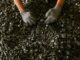 IMF Apologizes for Export Restriction Recommendation, Acknowledges Indonesia’s Progress in Nickel Downstream