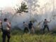 East Kalimantan Needs More Forest Rangers