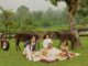 Seeing Exotic Animals from Abroad at Bali Farm House, Including Alpacas! Seeing Exotic Animals from Abroad at Bali Farm House, Including Alpacas!
