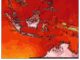 Indonesia Experienced Intense Heat with Maximum Temperatures Reaching 38.0°C