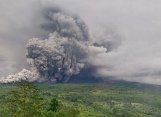Mount Semeru Erupts at Highest Alert Level, Visitors and Residents Urged to Stay Away! Mount Semeru Erupts at Highest Alert Level, Visitors and Residents Urged to Stay Away!
