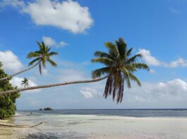 Visiting Wangi-Wangi Island in Wakatobi