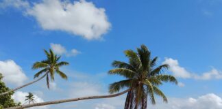 Visiting Wangi-Wangi Island in Wakatobi Will Be More Exciting When These Festivals Are On! Visiting Wangi-Wangi Island in Wakatobi