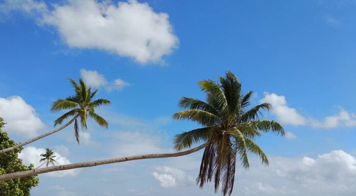 Visiting Wangi-Wangi Island in Wakatobi Will Be More Exciting When These Festivals Are On! Visiting Wangi-Wangi Island in Wakatobi