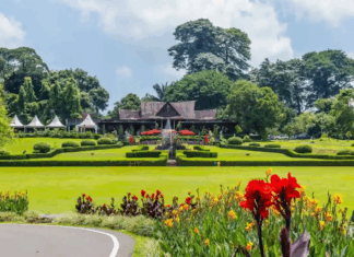Kebun Raya Bogor Joins the World’s Top 10 Botanical Gardens Kebun Raya Bogor Joins the World’s Top 10 Botanical Gardens