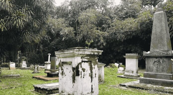 The Hidden Dutch Graves Inside Kebun Raya Bogor The Hidden Dutch Graves Inside Kebun Raya Bogor