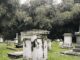 The Hidden Dutch Graves Inside Kebun Raya Bogor The Hidden Dutch Graves Inside Kebun Raya Bogor