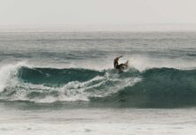 Why Indonesia Keeps Drawing Surfers Back with Consistent Waves All Year Why Indonesia Keeps Drawing Surfers Back with Consistent Waves All Year