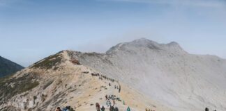 Banyuwangi Welcomes 47,000 Tourists During Long Weekend Surge Banyuwangi Welcomes 47,000 Tourists During Long Weekend Surge