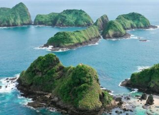 Tourist Visits Surge at Bedil Island, the “Raja Ampat of Banyuwangi” Tourist Visits Surge at Bedil Island, the “Raja Ampat of Banyuwangi”