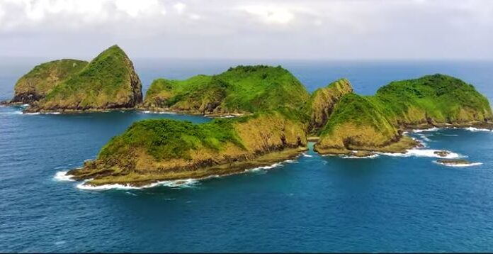 Discover Bedil Island, the New Marine Gem of Southern Banyuwangi Discover Bedil Island, the New Marine Gem of Southern Banyuwangi