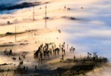 How Bromo Became One of the World’s Most Talked About Parks How Bromo Became One of the World’s Most Talked About Parks