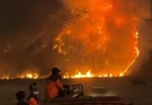 Mount Bromo Completely Closed as Wildfire Spreads Across TNBTS Mount Bromo Completely Closed as Wildfire Spreads Across TNBTS