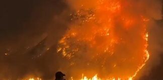 Mount Bromo Completely Closed as Wildfire Spreads Across TNBTS Mount Bromo Completely Closed as Wildfire Spreads Across TNBTS