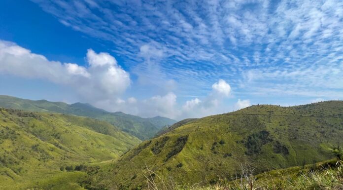 Viral Grasslands in East Java! Bukit Premium Offers Sumba-like Views Just Steps from Bromo Viral Grasslands in East Java! Bukit Premium Offers Sumba-like Views Just Steps from Bromo