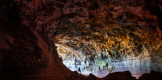 This Indonesian Region is Called the “Lost World,” The Home of Various Ancient Creatures Illustration - This Indonesian Region is Called the "Lost World," The Home of Various Ancient Creatures