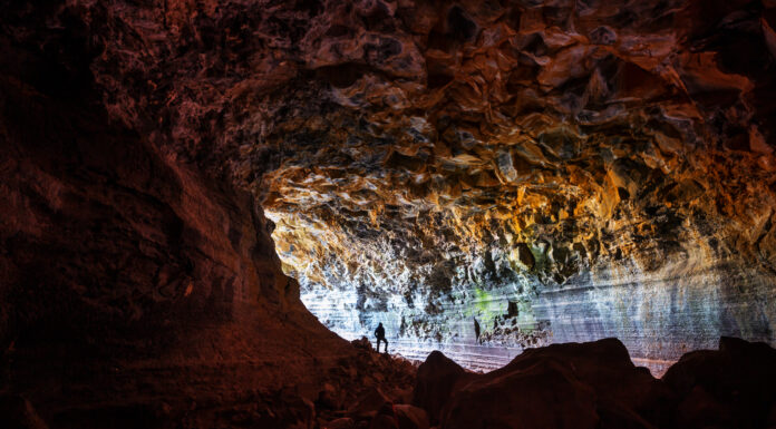 This Indonesian Region is Called the “Lost World,” The Home of Various Ancient Creatures Illustration - This Indonesian Region is Called the "Lost World," The Home of Various Ancient Creatures