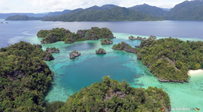 Not Bali or Jakarta, Central Sulawesi Turns Out to Be the New Favorite of Foreign Investors! Not Bali or Jakarta, Central Sulawesi Turns Out to Be the New Favorite of Foreign Investors!