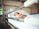 Child Kidney Failure Case Rediscovered After Considered Completed
