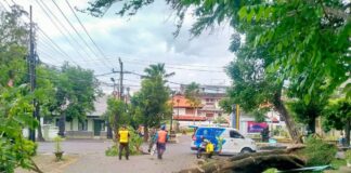 Extreme Weather Caused Damages and Injuries in Bali