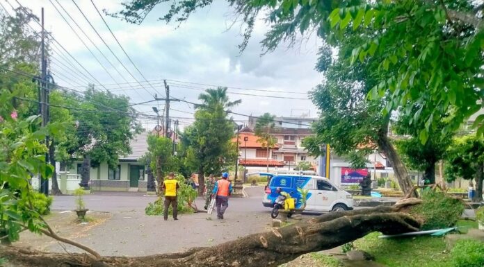 Extreme Weather Caused Damages and Injuries in Bali