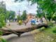 Extreme Weather Caused Damages and Injuries in Bali
