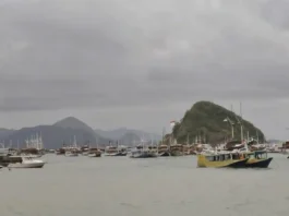 Travelers Warned as Komodo National Park Faces One-Day Sailing Restriction