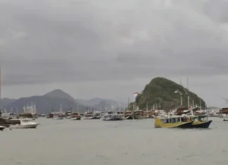Attention! Tourist Boats Banned From Sailing to Komodo National Park on May 29 Travelers Warned as Komodo National Park Faces One-Day Sailing Restriction