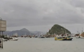 Attention! Tourist Boats Banned From Sailing to Komodo National Park on May 29 Travelers Warned as Komodo National Park Faces One-Day Sailing Restriction