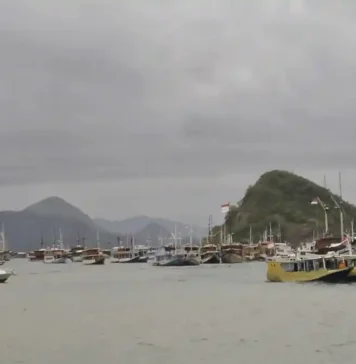 Attention! Tourist Boats Banned From Sailing to Komodo National Park on May 29 Travelers Warned as Komodo National Park Faces One-Day Sailing Restriction