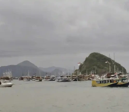 Attention! Tourist Boats Banned From Sailing to Komodo National Park on May 29 Travelers Warned as Komodo National Park Faces One-Day Sailing Restriction
