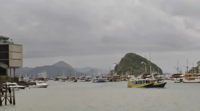 Attention! Tourist Boats Banned From Sailing to Komodo National Park on May 29 Travelers Warned as Komodo National Park Faces One-Day Sailing Restriction