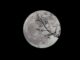 The Super New Moon Phenomenon Can Damage Coastal Areas.