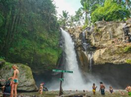 foreign tourist arrivals in Indonesia