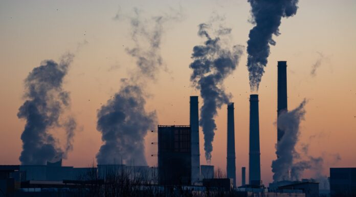 Government Still Delays the Carbon Tax Implementation