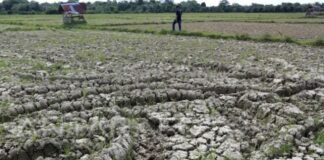 Extreme Weather Continues to Affect, but El Nino is Not Yet Significant