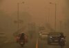 Bali Reports No Haze from Kalimantan Fires Despite Unhealthy Air in Denpasar Kalimantan Fires