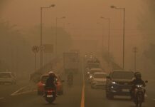 Bali Reports No Haze from Kalimantan Fires Despite Unhealthy Air in Denpasar Kalimantan Fires