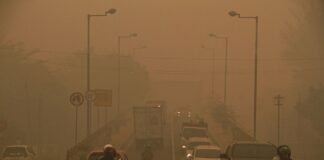 Bali Reports No Haze from Kalimantan Fires Despite Unhealthy Air in Denpasar Kalimantan Fires