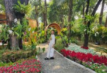 FLONA Jakarta 2026 Returns With Plants, Wildlife, and Family Fun FLONA Jakarta 2026 Returns With Plants, Wildlife, and Family Fun