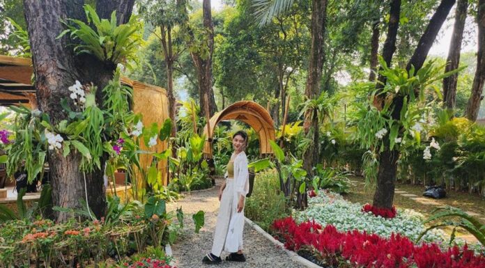 FLONA Jakarta 2026 Returns With Plants, Wildlife, and Family Fun FLONA Jakarta 2026 Returns With Plants, Wildlife, and Family Fun