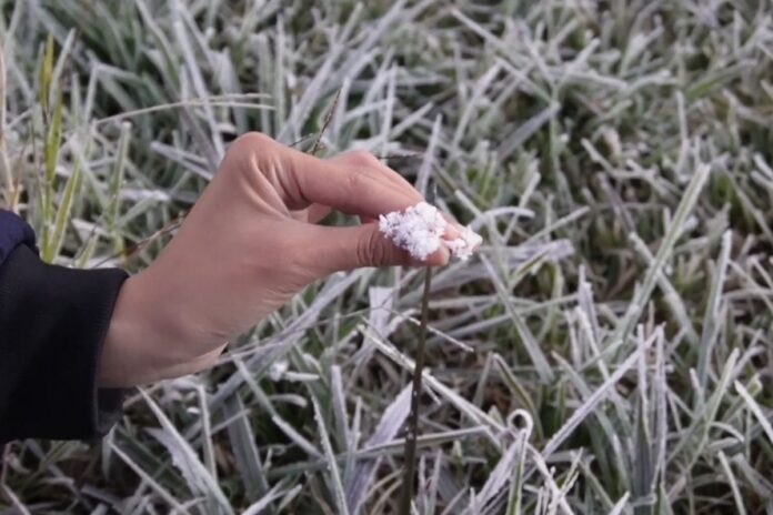 Frost Expected to Persist in Dieng for Several More Weeks