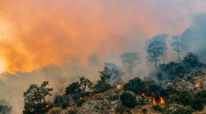 Record-Breaking Global Temperature Highlights the Growing Threat of Global Warming